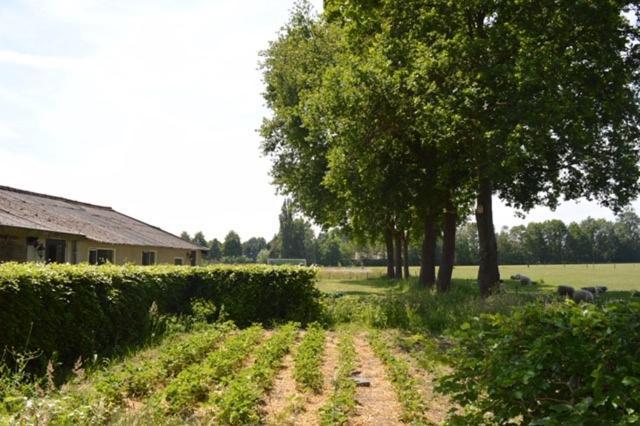 Residentie De Hoek Den Dungen Exterior foto